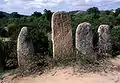 Statue menhir from Palaggiu