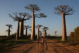 Local people on the Avenue