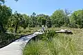 Wetlands boardwalk