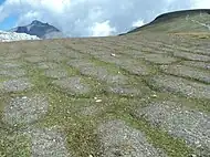 Patterned ground on Earth.