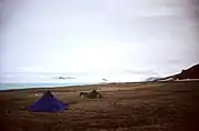 Ward Hunt Island, field camp and airstrip, view towards Cape Columbia, Ellesmere Island, Canada