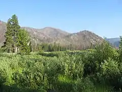 Warms Springs Creak Meadow