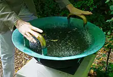 Water-Singing bowl