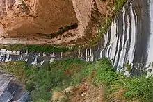 Water slowly seeping from tan porous sandstone at contact with impermeable gray shale creates a refreshing growth of green vegetation in the desert.