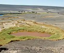 Brown lake surrounded by green vegetation in a black desert