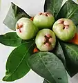 Fruit with leaves