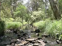 Werrikimbe National Park