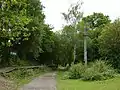 Station remains as part of the Downs Link.