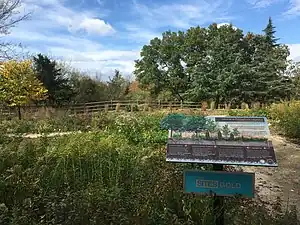 Nature's Sanctuary natural burial section