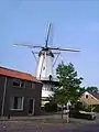 Windmill Windlust