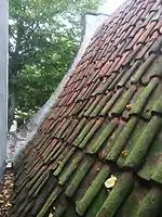 Roof, partly moss-clad, and top of facade