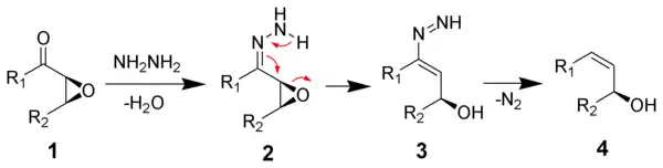 The mechanism of the Wharton reaction