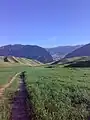 Wheat farms near Sheykh Makan