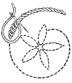 Whipped stem stitch