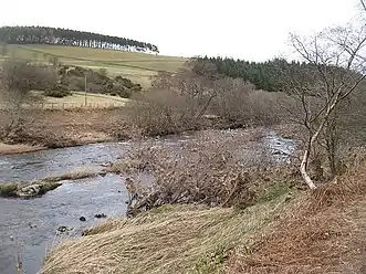 Whiteadder Water running around Abbey St Bathans (March 2010)