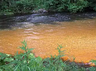 Whiteadder Water after heavy rainfall, depicting runoff from the peat in the Lammermuir Hills (July 2007)