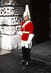 Soldier of the Life Guards, 1983