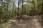 A walking track in Whites Hill Reserve