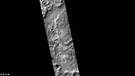 Eskers in Joly crater, as seen by CTX camera (on Mars Reconnaissance Orbiter).  Eskers are the ridges in the image; they are formed by streams running under a glacier.