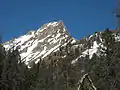 Williams Peak from Alpine Way Trail