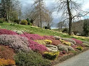 A Spring-time floral display at Holehird Garden.