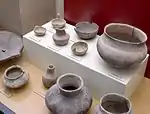 Pottery from the Winterville site