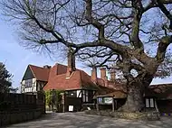 Quercus robur beside the laboratory