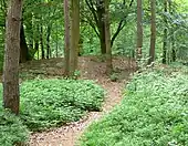 Bronze Age tumulus near Wohlde