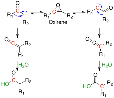 Isotopic scrambling of 13C labeled ketocarbene via symmetric oxirene.