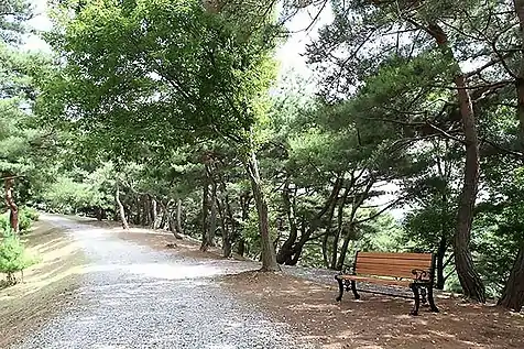 A hiking trail in Wolmyeongdong that was paved with stone pebbles