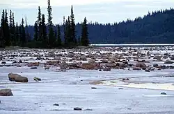 Salt Plains, Wood Buffalo National Park