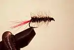 Black Woolly Worm with a red hackle tail