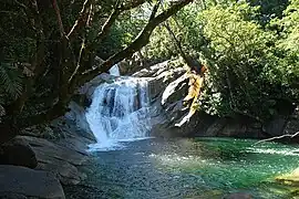 Josephine Falls, 2008