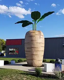 Sugar beet sculpture in Halstad