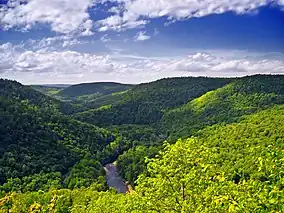 A view of a forest-covered mountain valley with a creek in it, under a partly cloudy sky