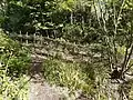 Woven hazel deadhedge behind pond, blocking informal paths that formed during the COVID-19 lockdowns