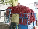 Chilli peppers sold in Wuhan