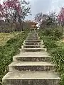 Stairway to the peak of Wutong Mountain