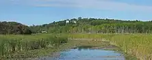 A marsh along the edge of a small river