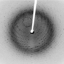 The diffraction pattern of a beam of x-rays passing through a stationary crystal. The dots are areas of constructive interference; the crystal's atomic structure can be worked out from the pattern. In ptychography, a sample (which does not need to be crystalline) is moved sequentially through the beam, creating a range of diffraction patterns.