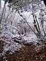 A climbing route to the top of Mount Yajuro covered snow