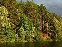 Lake Yalchik in Volzhsky District