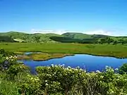 Mount Kirigamine and Yashimagahara Wetland