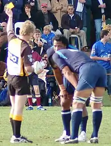 A male referee wearing black and yellow stands on a rugby pitch and raises a yellow card in front of two male players wearing dark blue. Fans look on in the stands behind them.