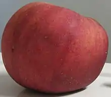 A 'York Imperial' apple, red with green streaks