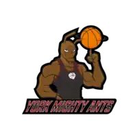 York Mighty Ants logo