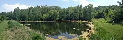 A panorama of a pond surrounded by forest