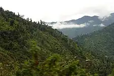 Picture showing the Yungas in Tucuman Province, a thick jungle located on the eastern slopes of the Andes