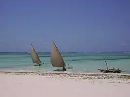 A Zanzibar beach