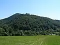 Zborov Castle hill, during the summer (August 2011)